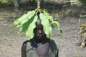 Leaves can be used as umbrellas. Sudan is hot!