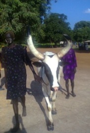 Makur’s secret of being expensive is the color on his muzzle and face