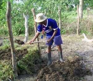 Making compost, dirt is GOOD!